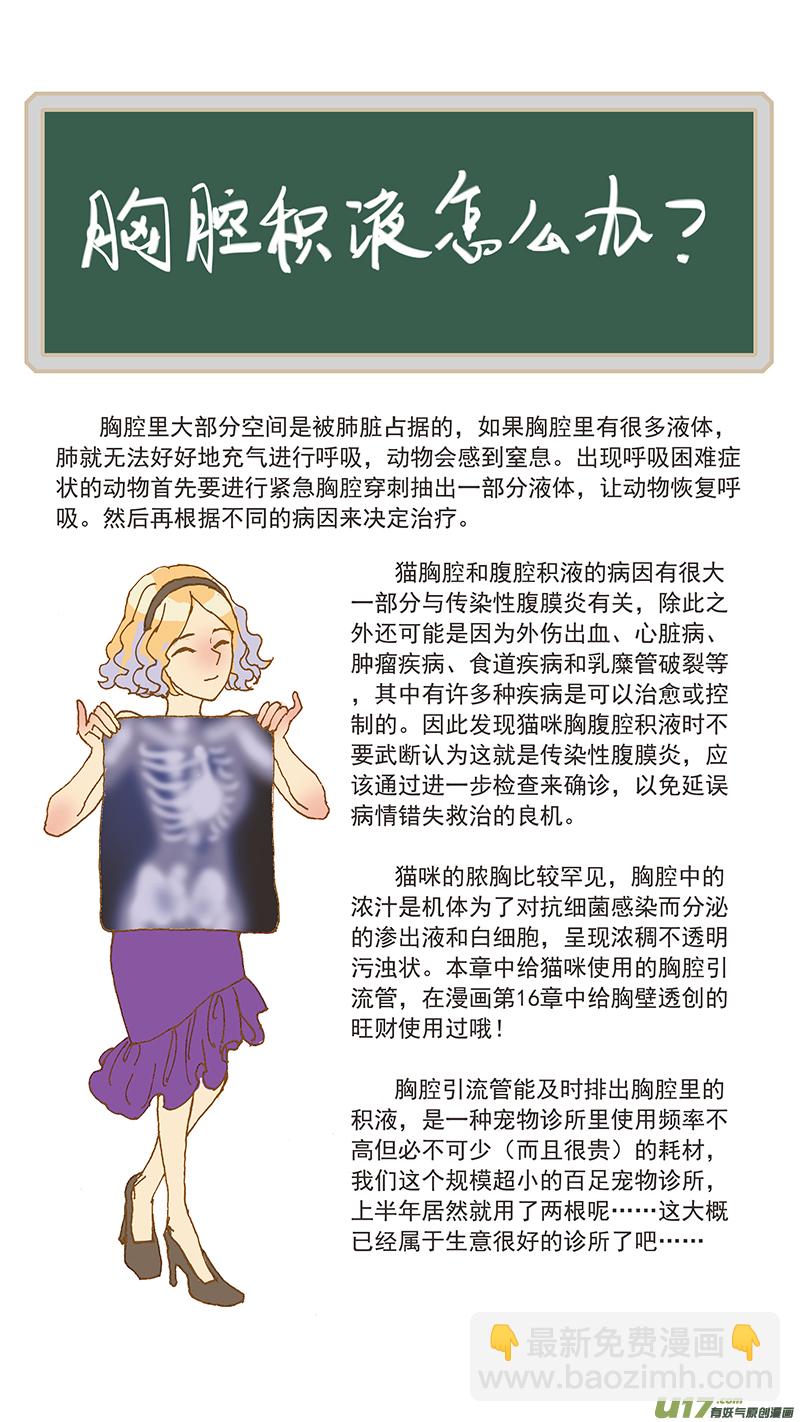 《百足宠物诊所》066 脓胸 第13页