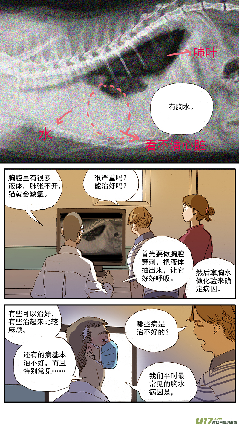 《百足宠物诊所》065 猫胸腔积液 第10页