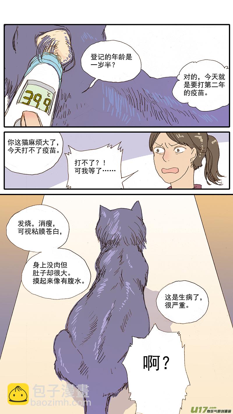 《百足宠物诊所》065 猫胸腔积液 第13页