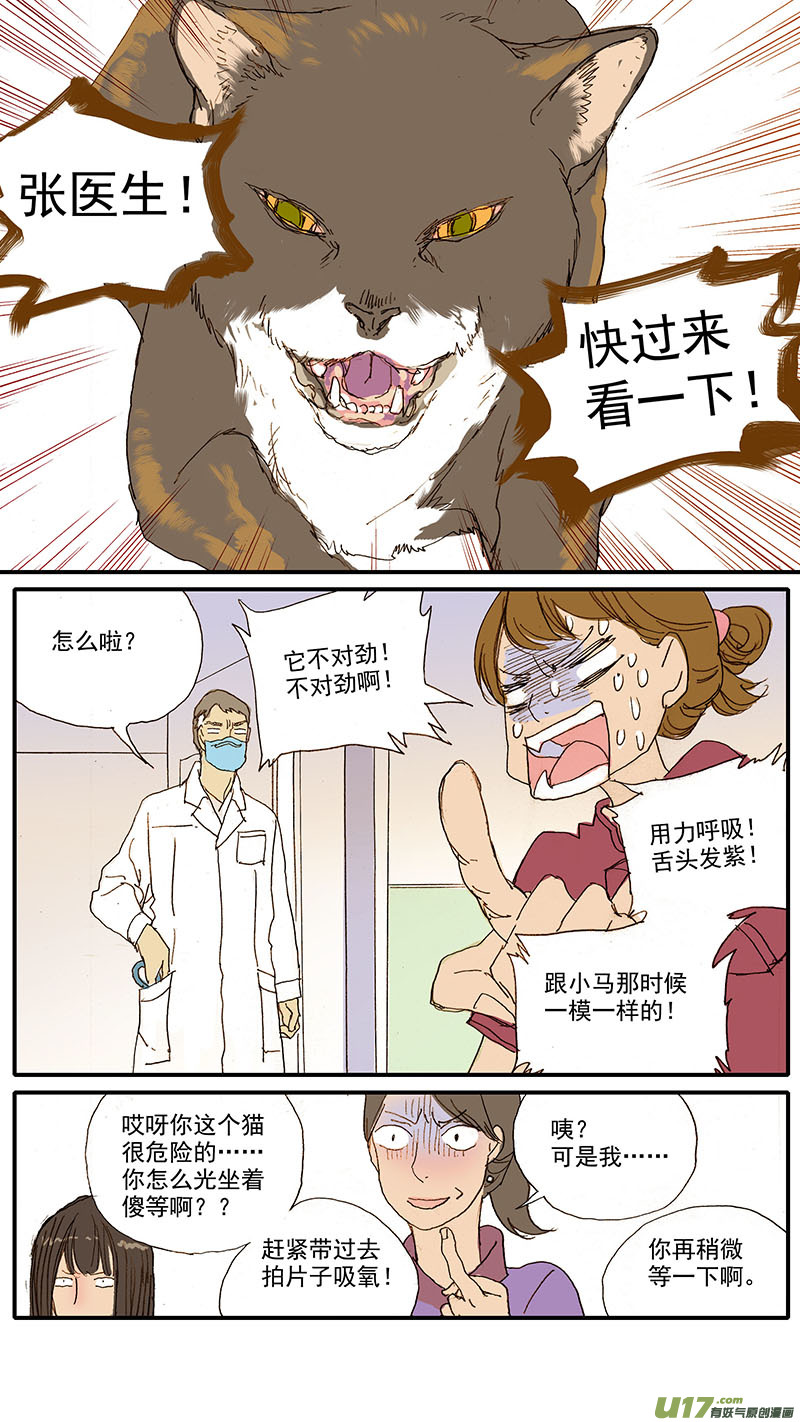 《百足宠物诊所》065 猫胸腔积液 第8页