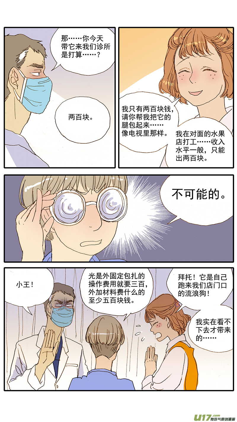 《百足宠物诊所》067 骨折外固定 第2页
