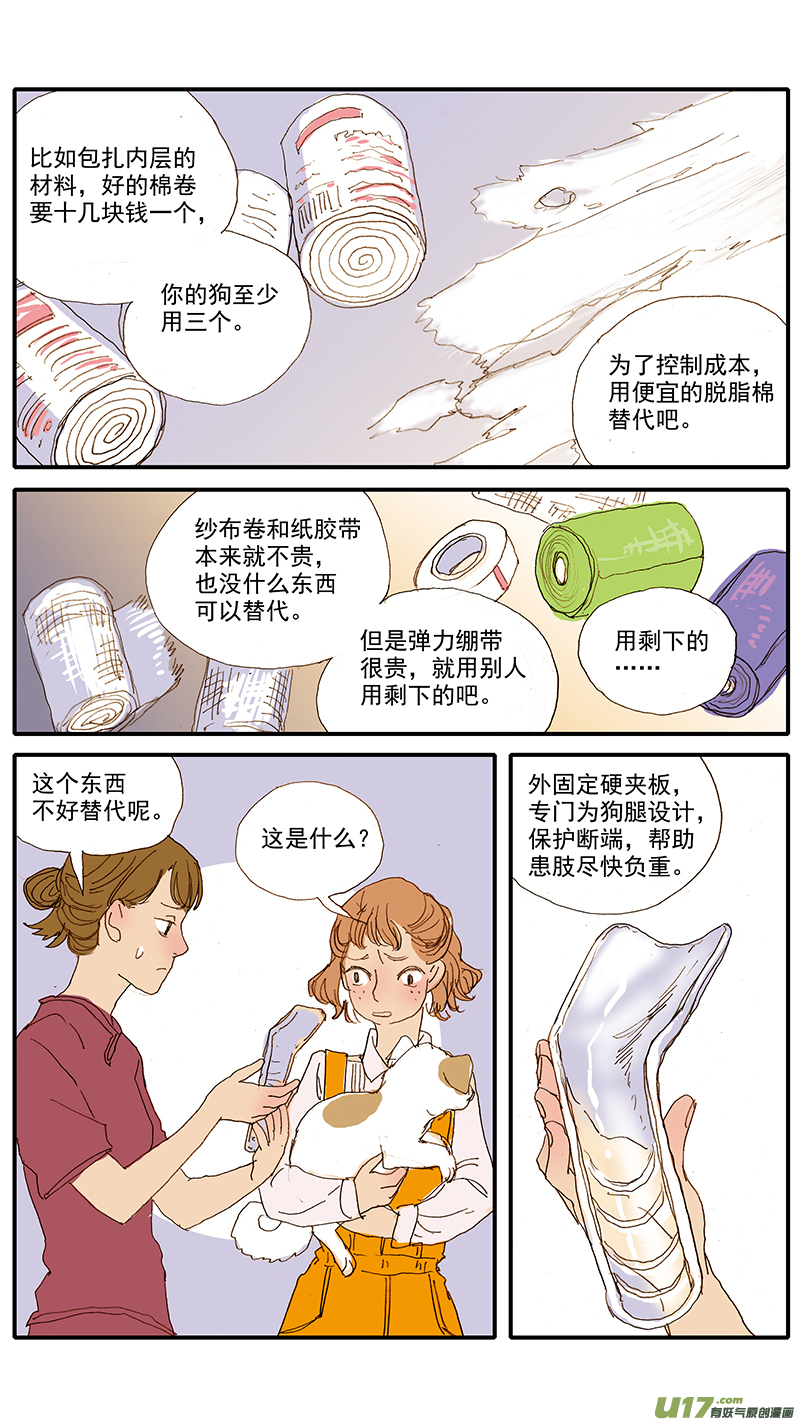 《百足宠物诊所》067 骨折外固定 第6页