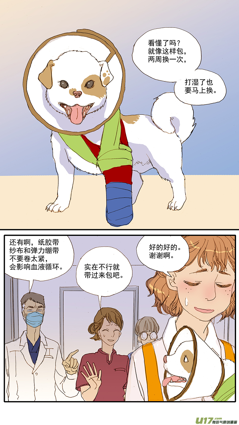 《百足宠物诊所》067 骨折外固定 第9页