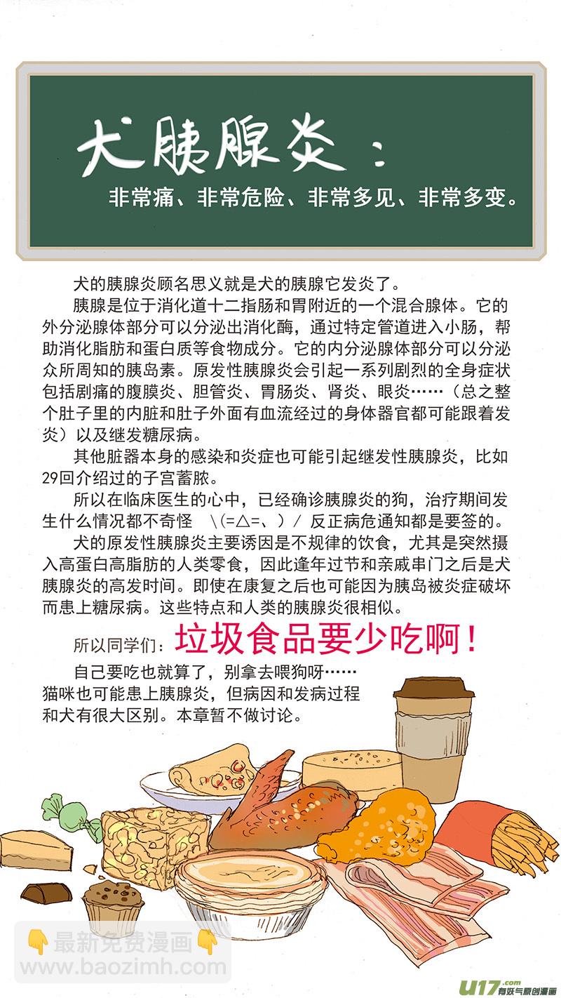 《百足宠物诊所》069 犭胰腺炎 第12页