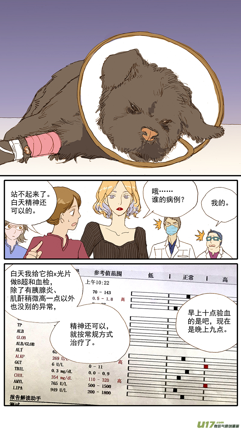 《百足宠物诊所》069 犭胰腺炎 第1页