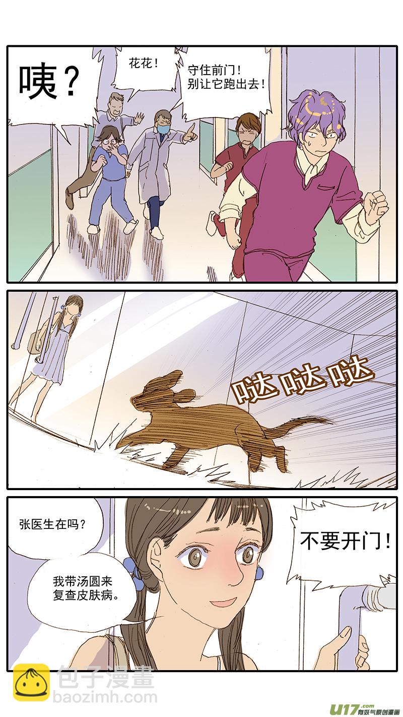 《百足宠物诊所》071 就诊动物逃逸 第10页