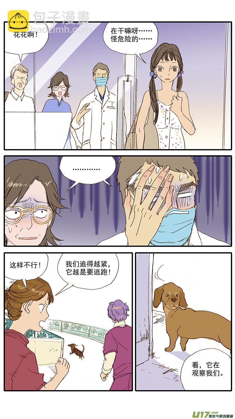 《百足宠物诊所》071 就诊动物逃逸 第12页