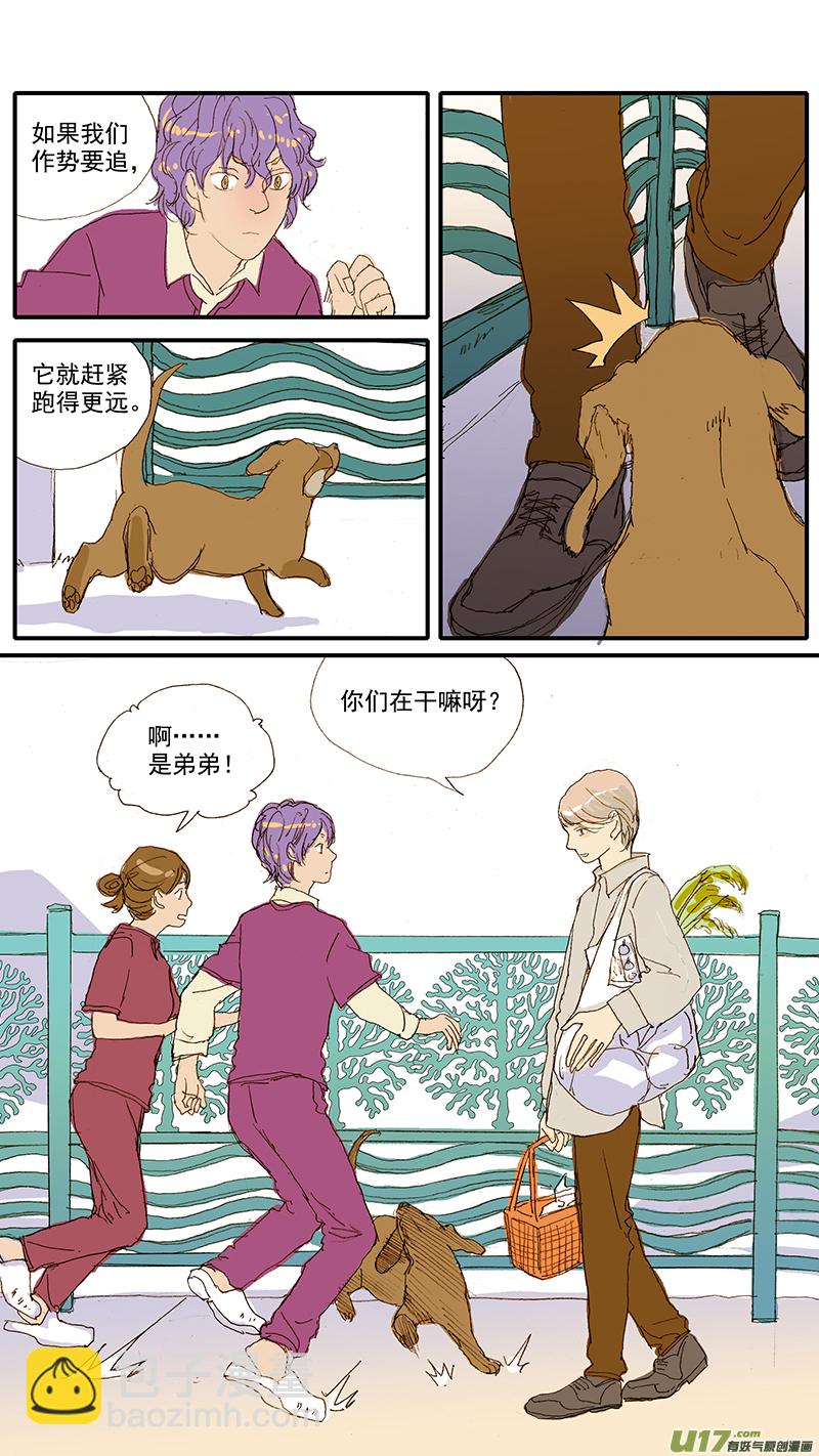 《百足宠物诊所》071 就诊动物逃逸 第13页