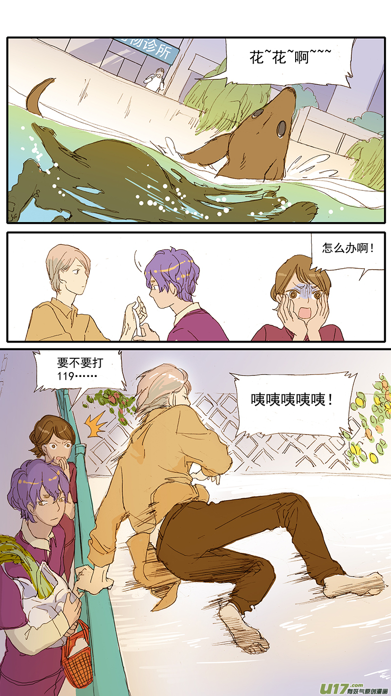 《百足宠物诊所》071 就诊动物逃逸 第15页