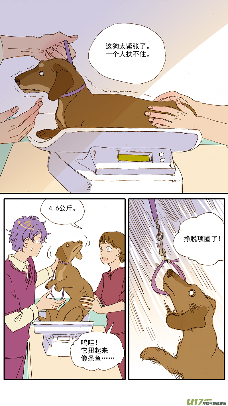 《百足宠物诊所》071 就诊动物逃逸 第6页