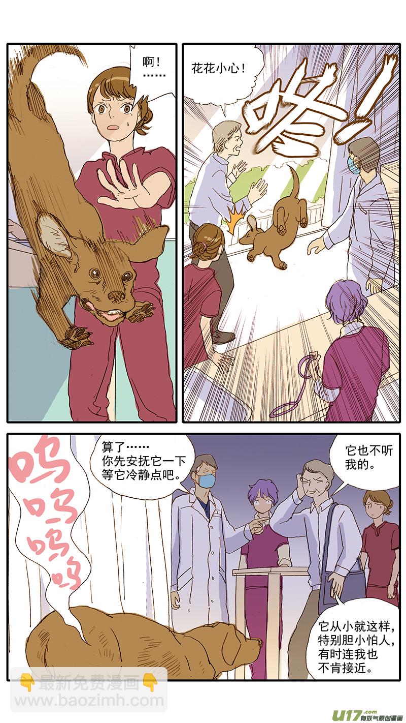 《百足宠物诊所》071 就诊动物逃逸 第7页