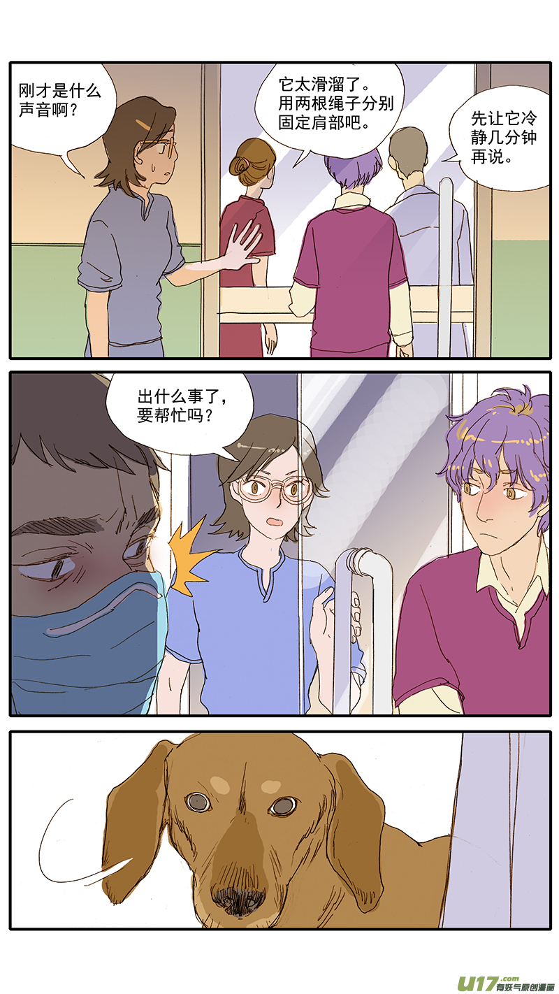 《百足宠物诊所》071 就诊动物逃逸 第8页