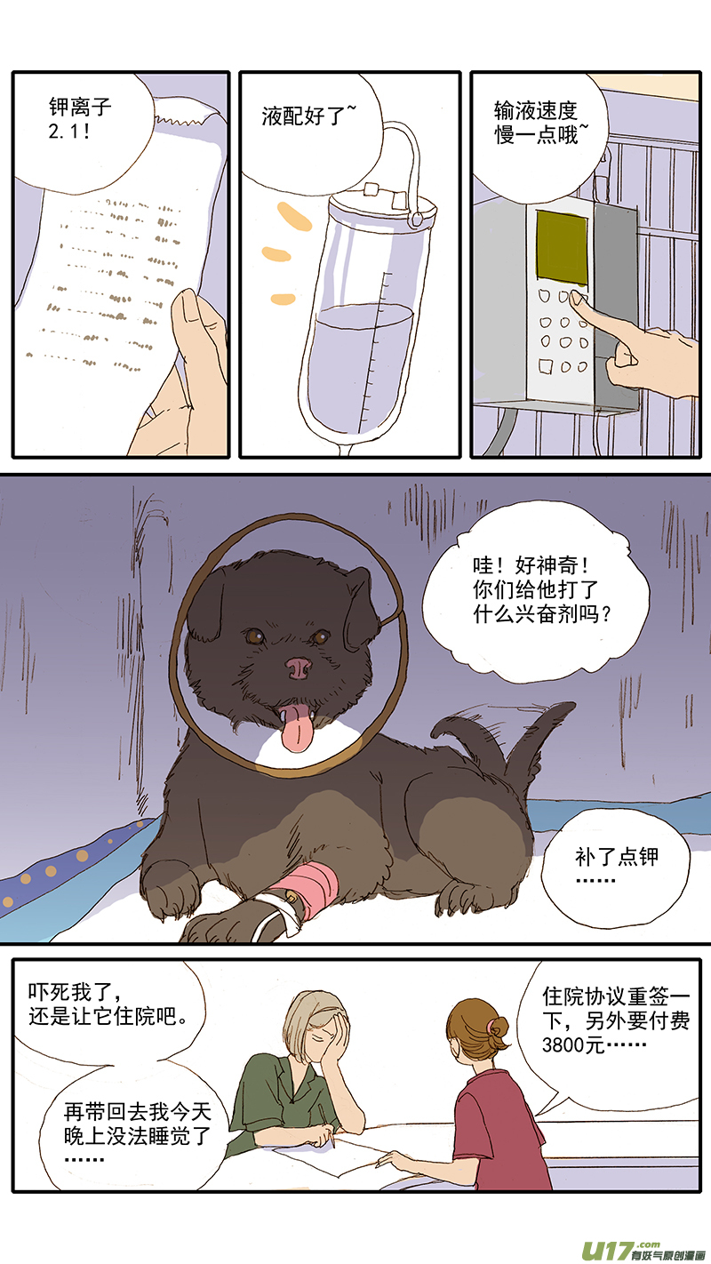 《百足宠物诊所》070 急性肾衰竭 第12页