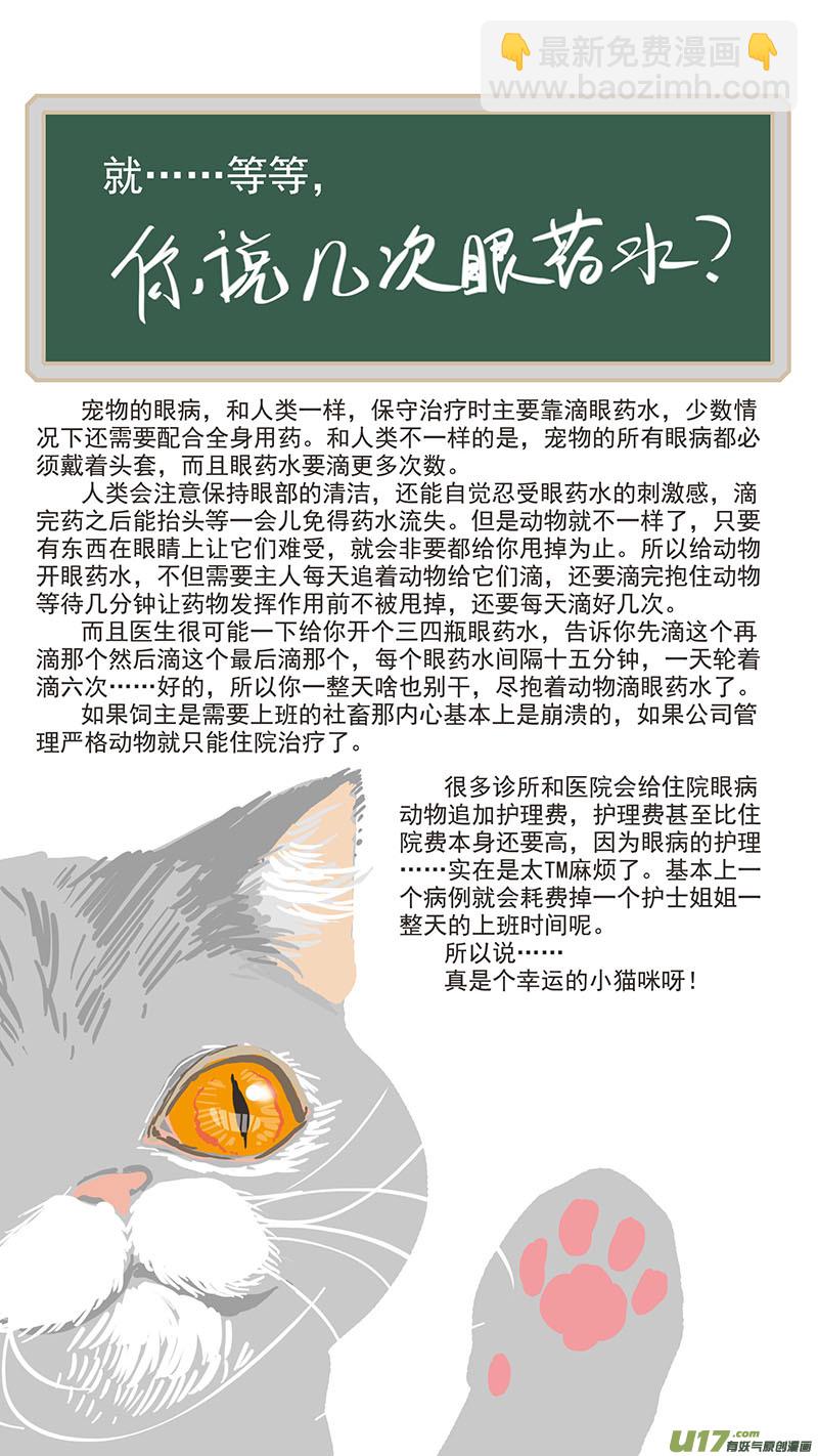 《百足宠物诊所》076 眼科用药 第12页