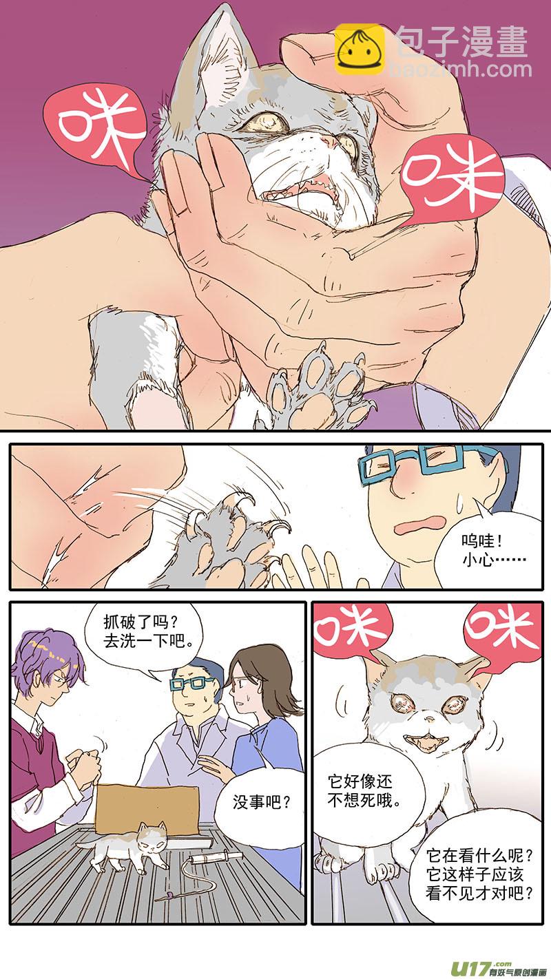 《百足宠物诊所》073 角膜溃疡 第10页