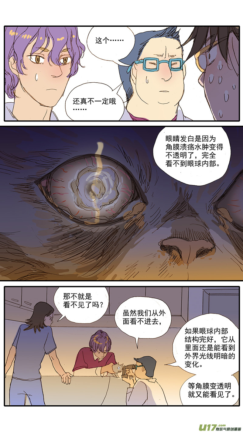 《百足宠物诊所》073 角膜溃疡 第11页