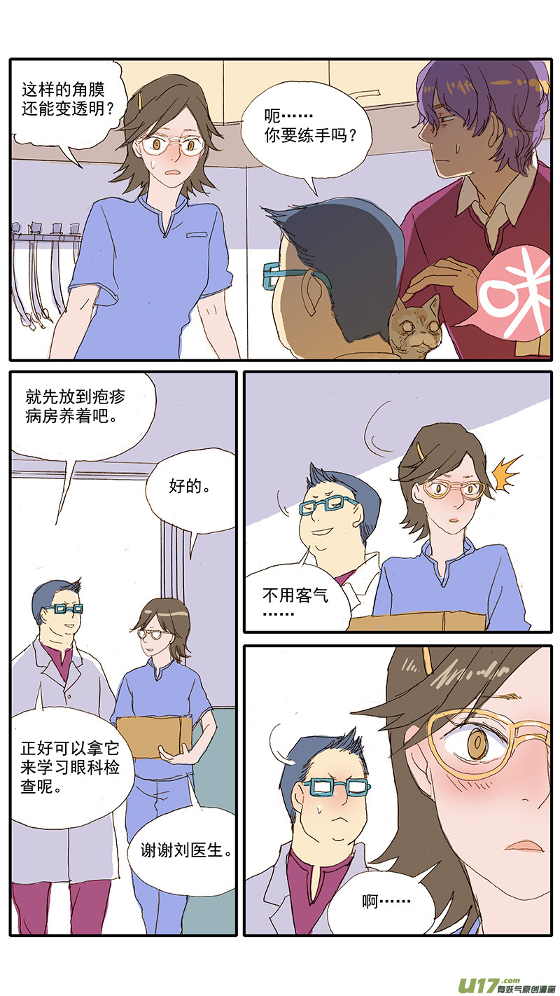 《百足宠物诊所》073 角膜溃疡 第12页