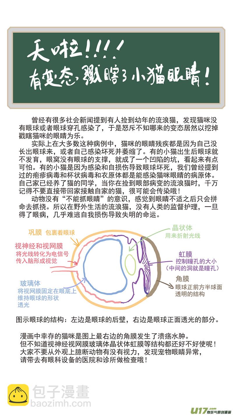 《百足宠物诊所》073 角膜溃疡 第15页