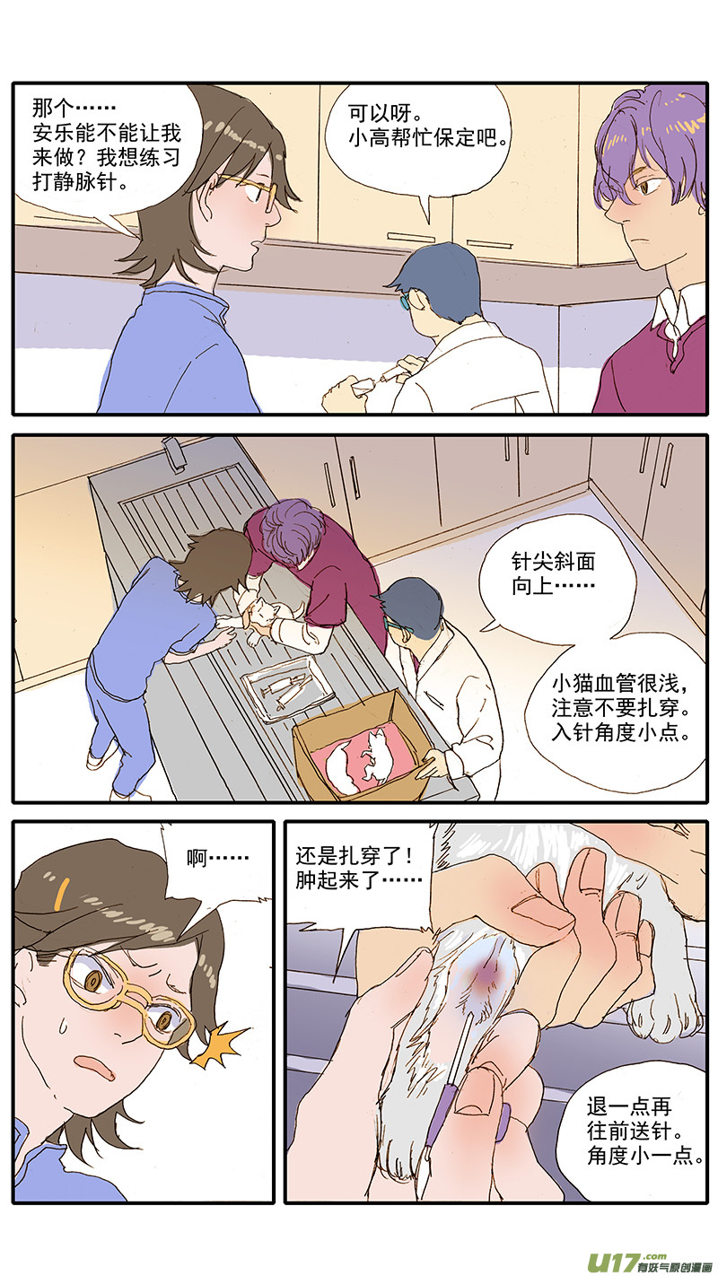《百足宠物诊所》073 角膜溃疡 第6页