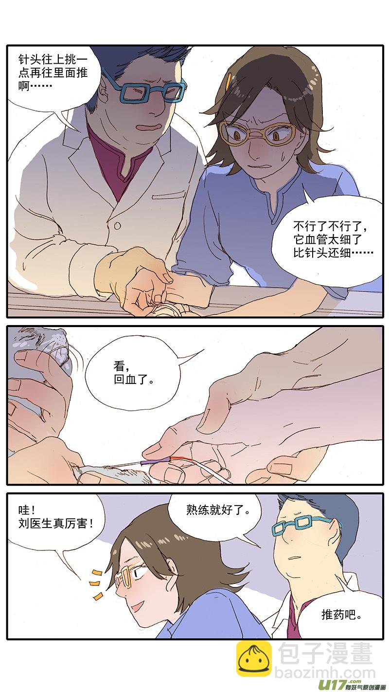 《百足宠物诊所》073 角膜溃疡 第7页