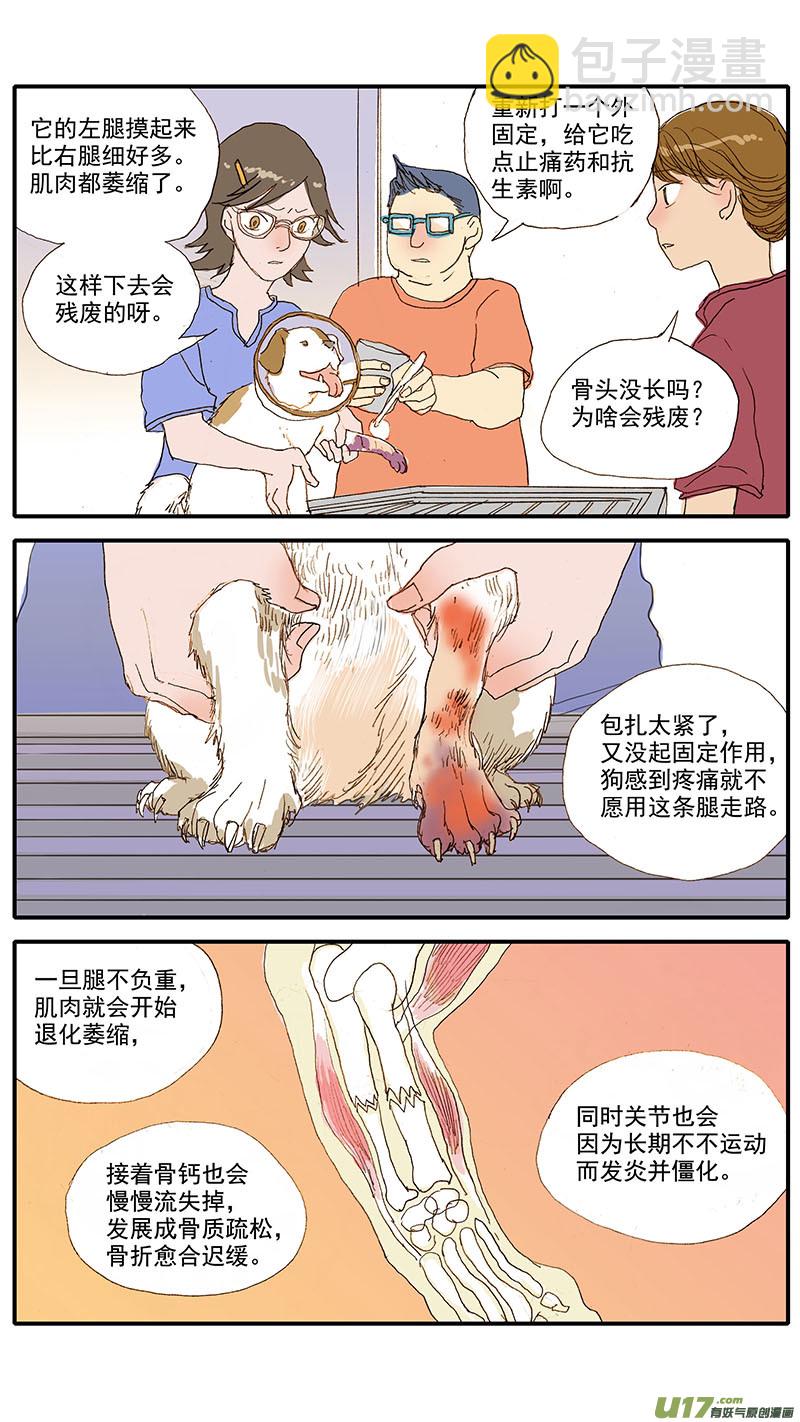 《百足宠物诊所》075 骨折愈合 第10页