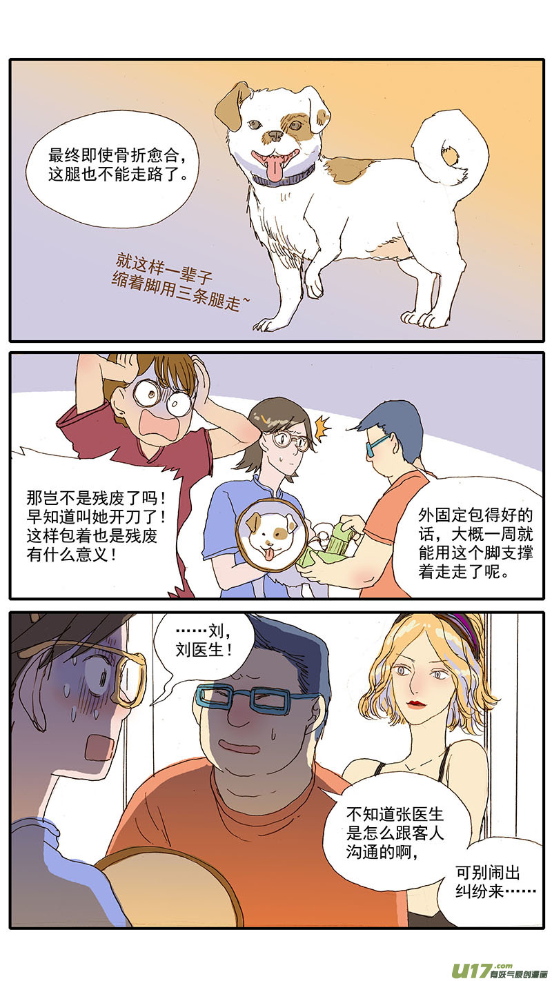 《百足宠物诊所》075 骨折愈合 第11页