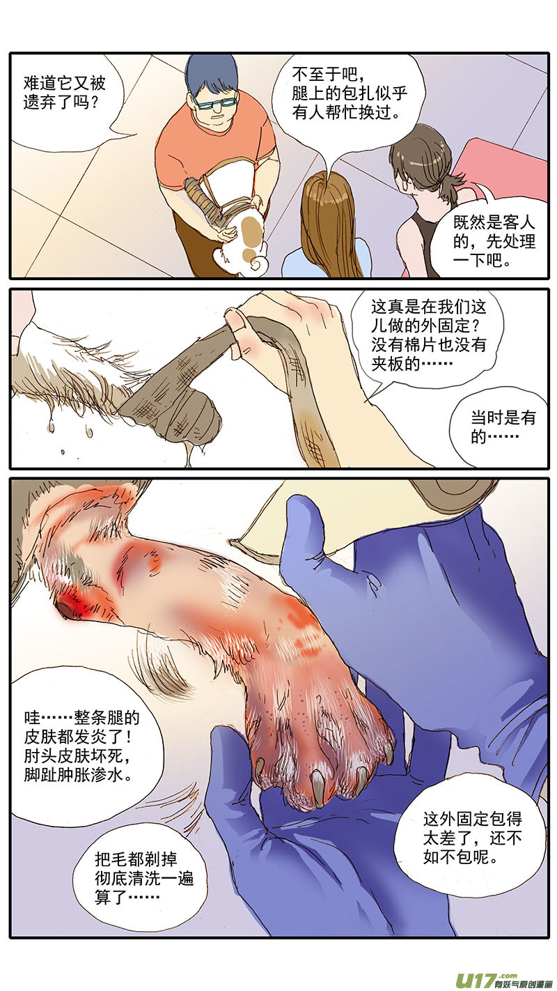 《百足宠物诊所》075 骨折愈合 第9页