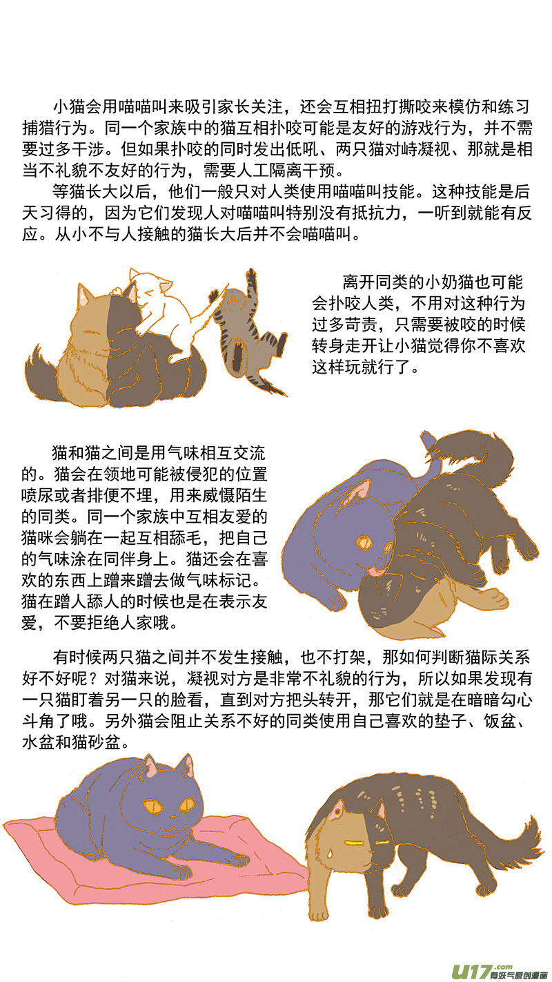 《百足宠物诊所》079特别篇超简易养猫指导 第3页