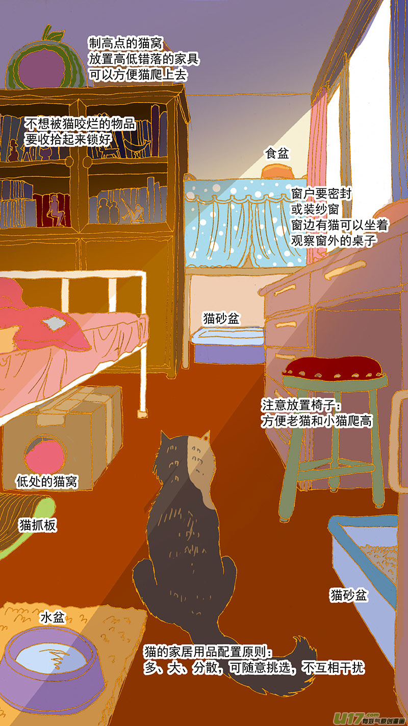 《百足宠物诊所》079特别篇超简易养猫指导 第5页
