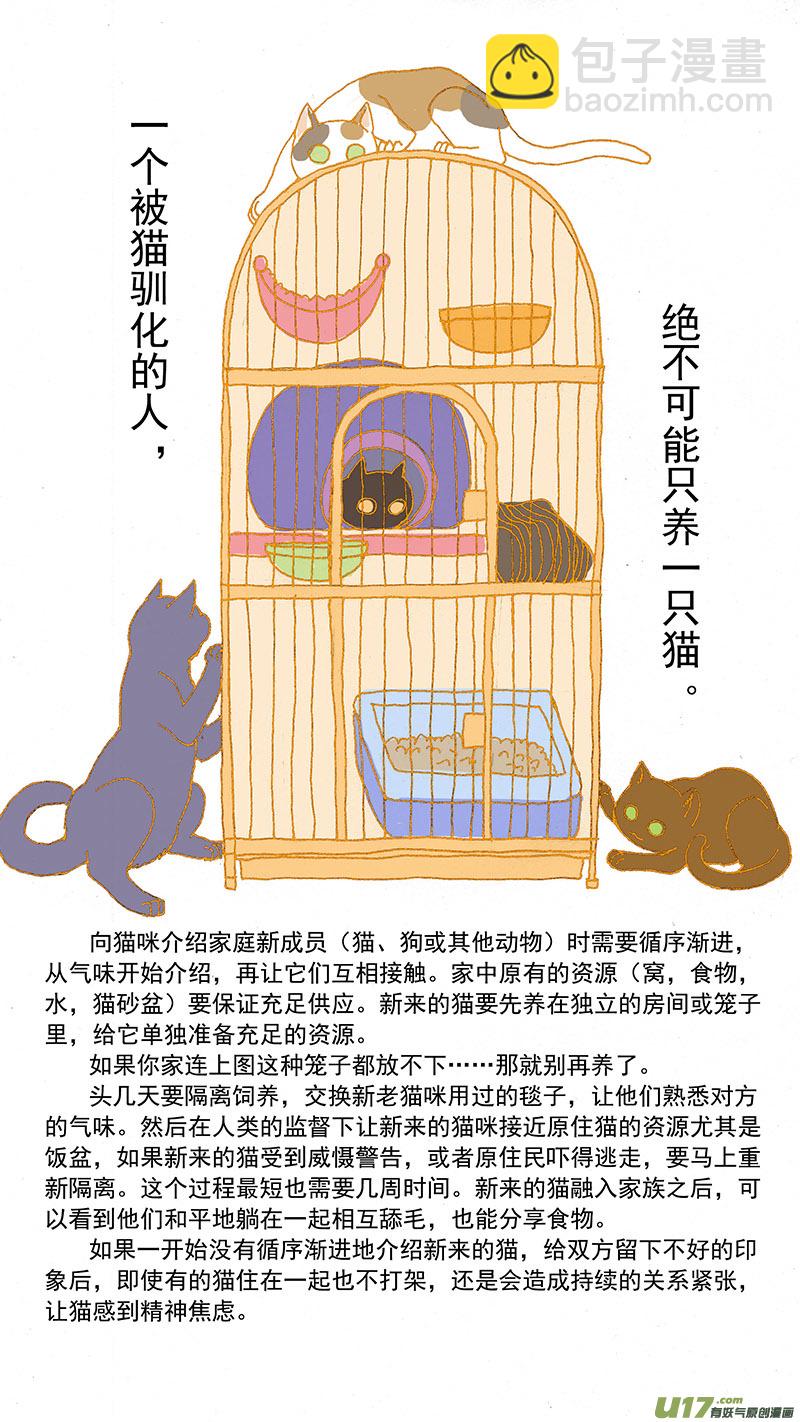 《百足宠物诊所》079特别篇超简易养猫指导 第6页