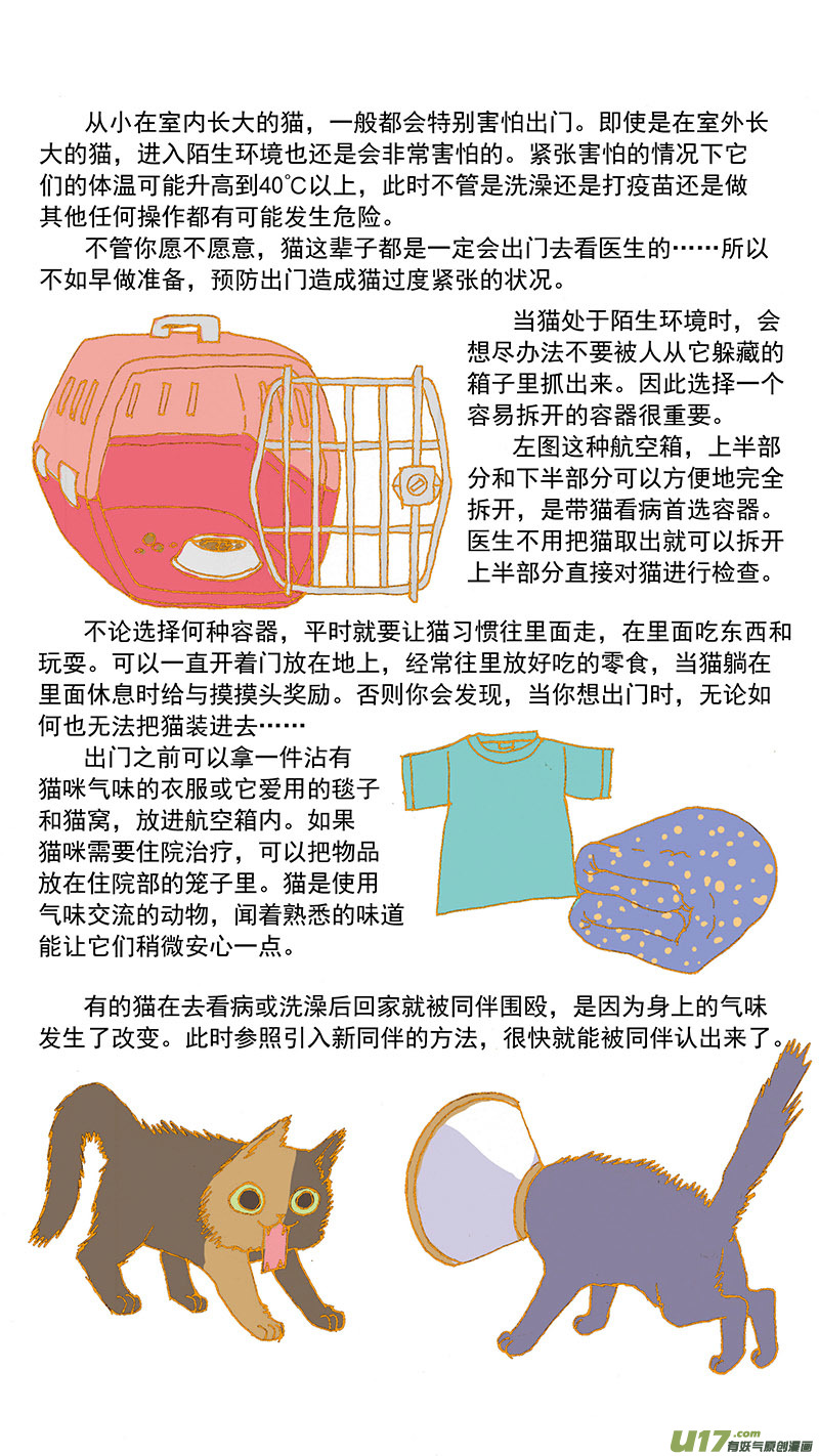 《百足宠物诊所》079特别篇超简易养猫指导 第7页