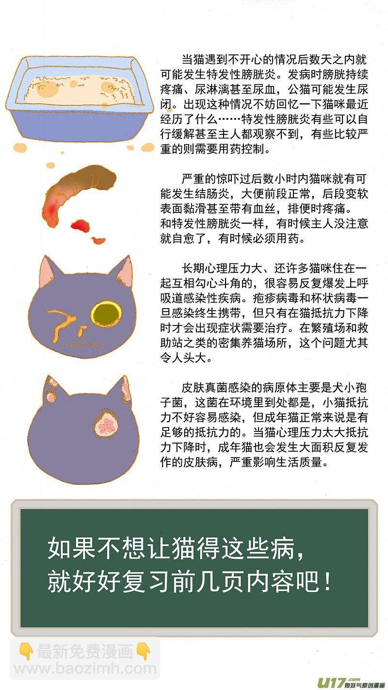 《百足宠物诊所》079特别篇超简易养猫指导 第8页