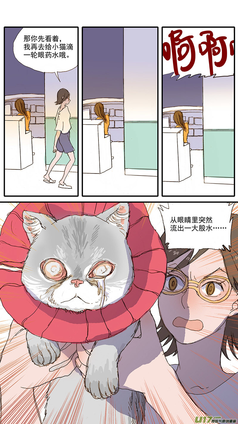 《百足宠物诊所》080 角膜溃疡穿孔 第3页