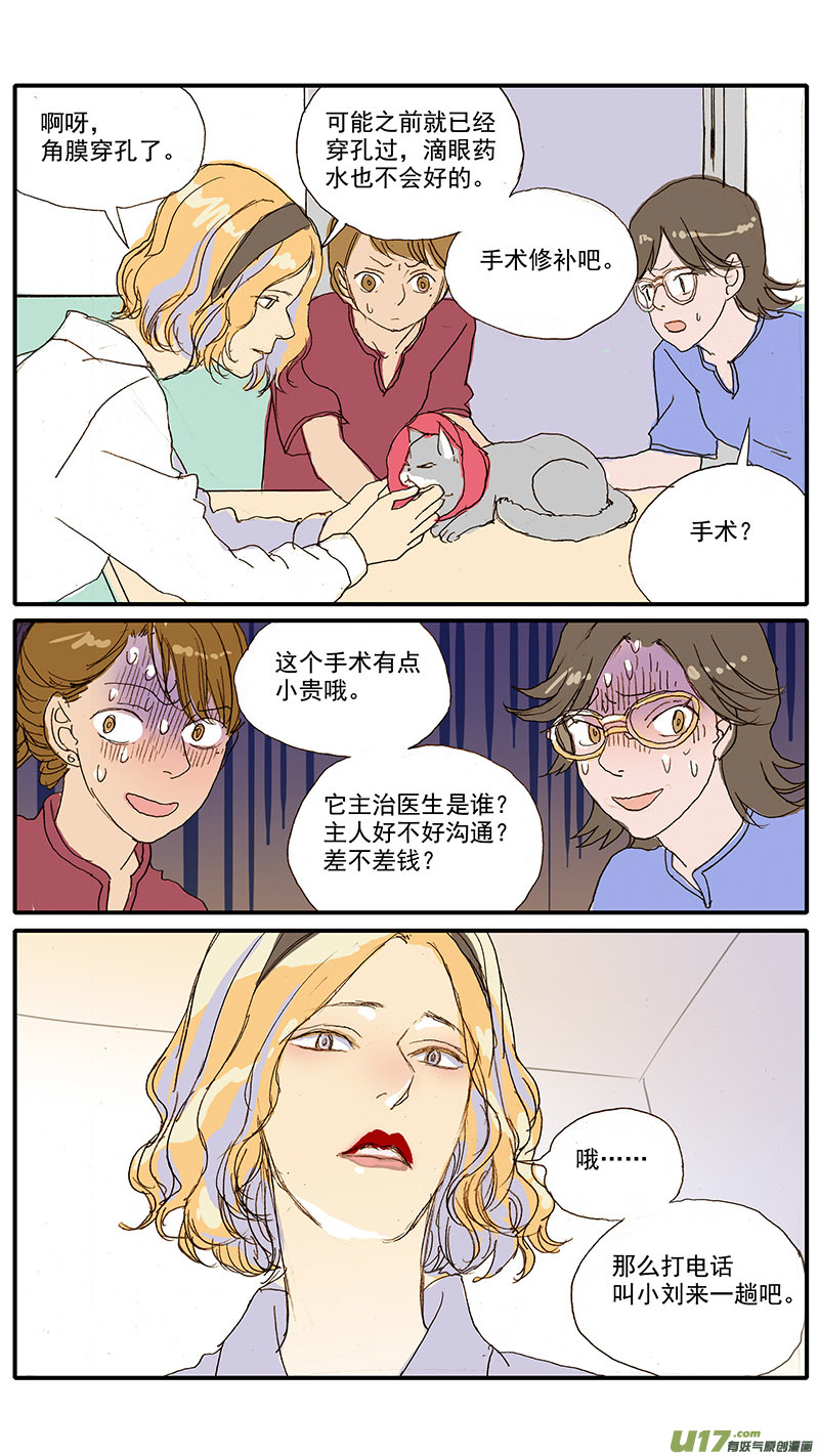 《百足宠物诊所》080 角膜溃疡穿孔 第4页