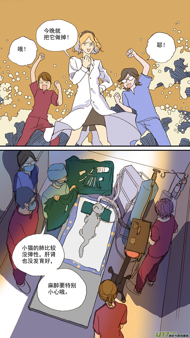 《百足宠物诊所》080 角膜溃疡穿孔 第5页