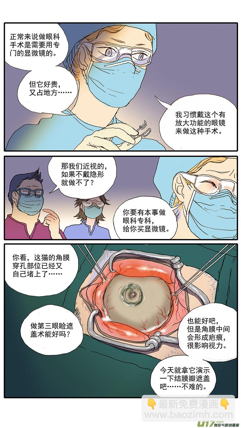 《百足宠物诊所》080 角膜溃疡穿孔 第6页