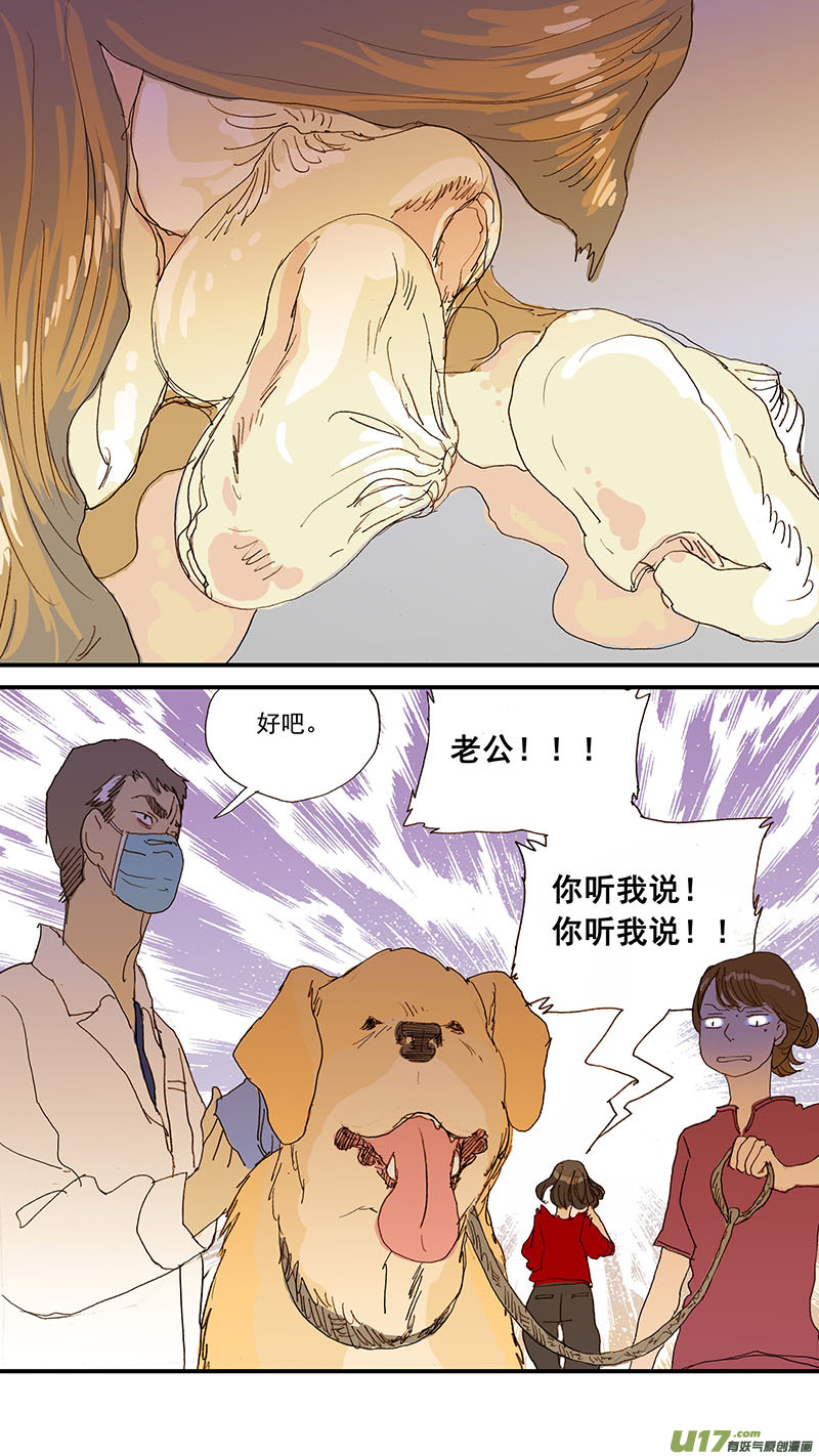 《百足宠物诊所》077 犭消化道异物（食物包装） 第12页