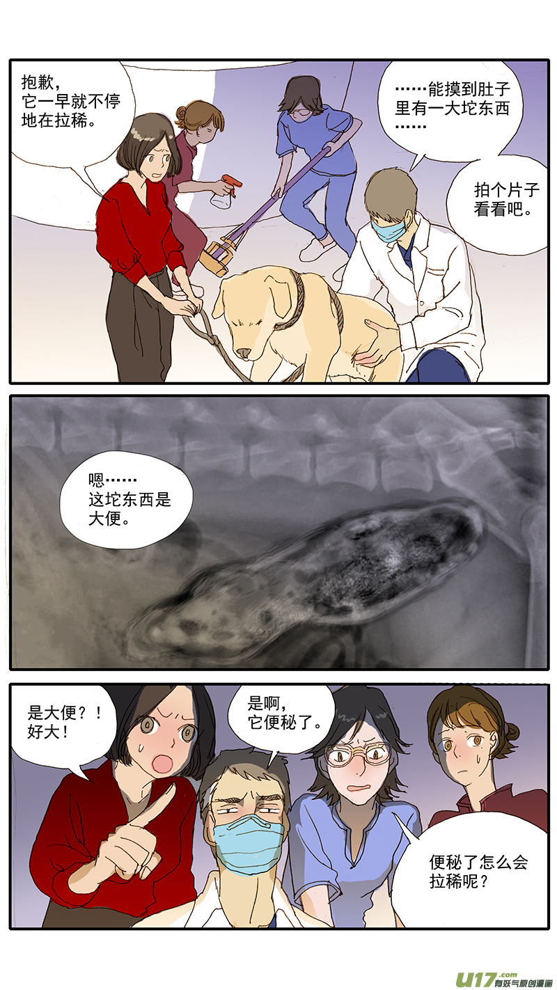 《百足宠物诊所》077 犭消化道异物（食物包装） 第4页