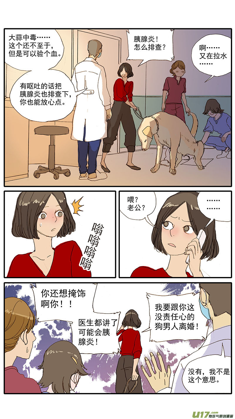 《百足宠物诊所》077 犭消化道异物（食物包装） 第6页