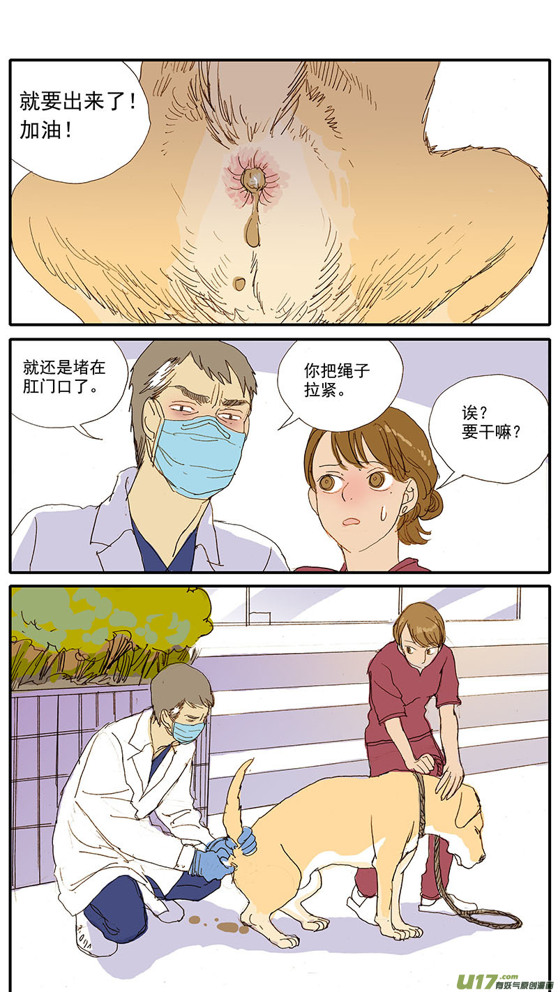 《百足宠物诊所》077 犭消化道异物（食物包装） 第9页