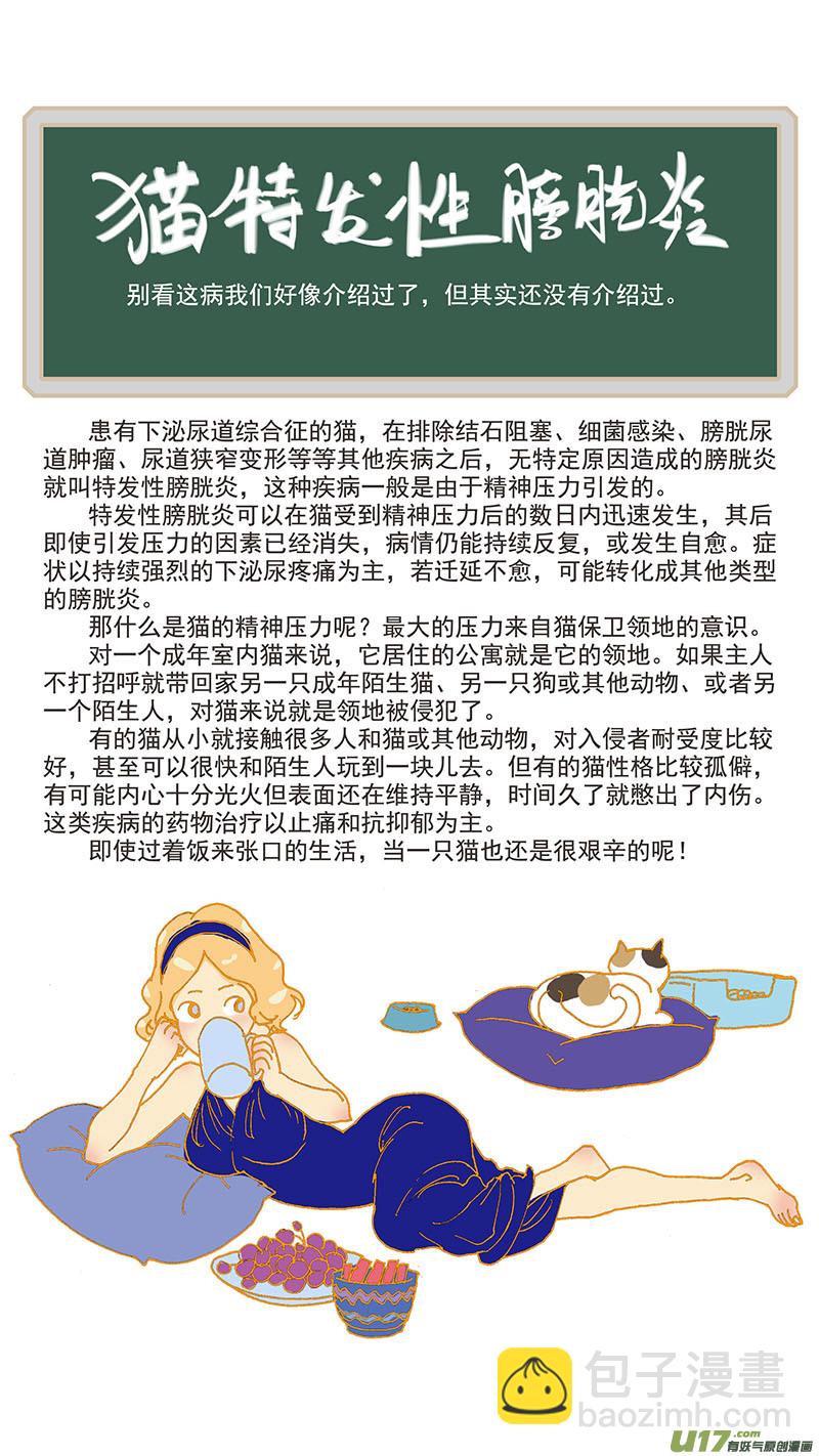 《百足宠物诊所》078 猫特发性膀胱炎 第12页