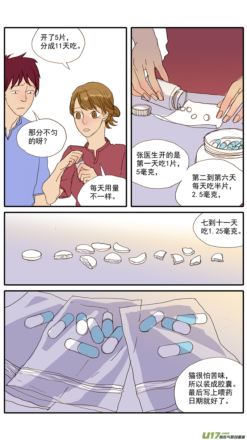 《百足宠物诊所》078 猫特发性膀胱炎 第4页