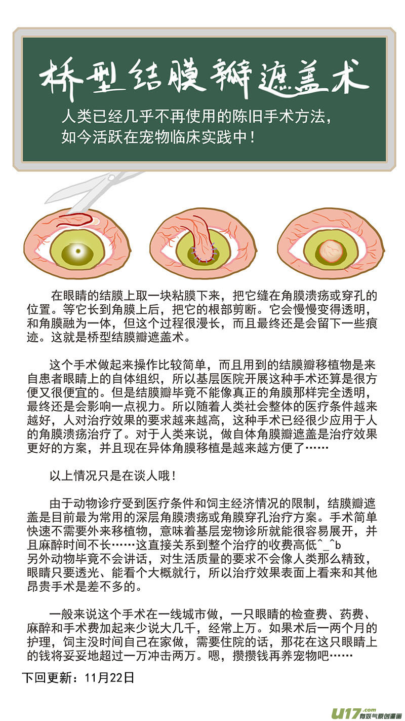 《百足宠物诊所》084 桥型结膜瓣遮盖术 第12页