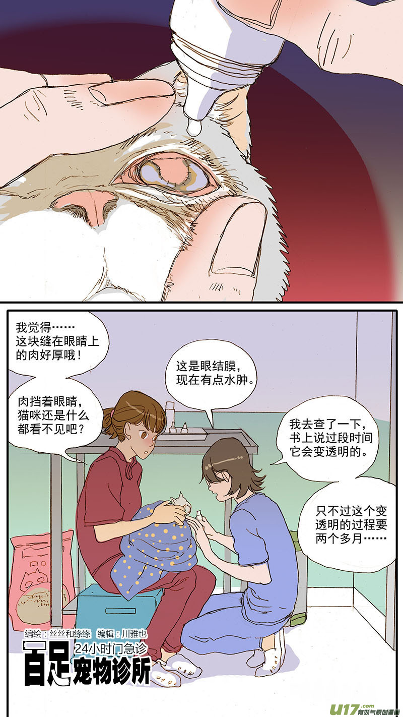 《百足宠物诊所》084 桥型结膜瓣遮盖术 第1页