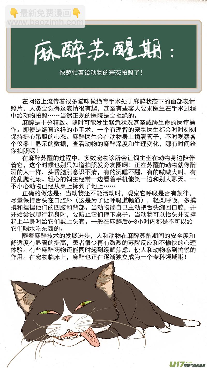 《百足宠物诊所》083 麻醉苏醒 第11页