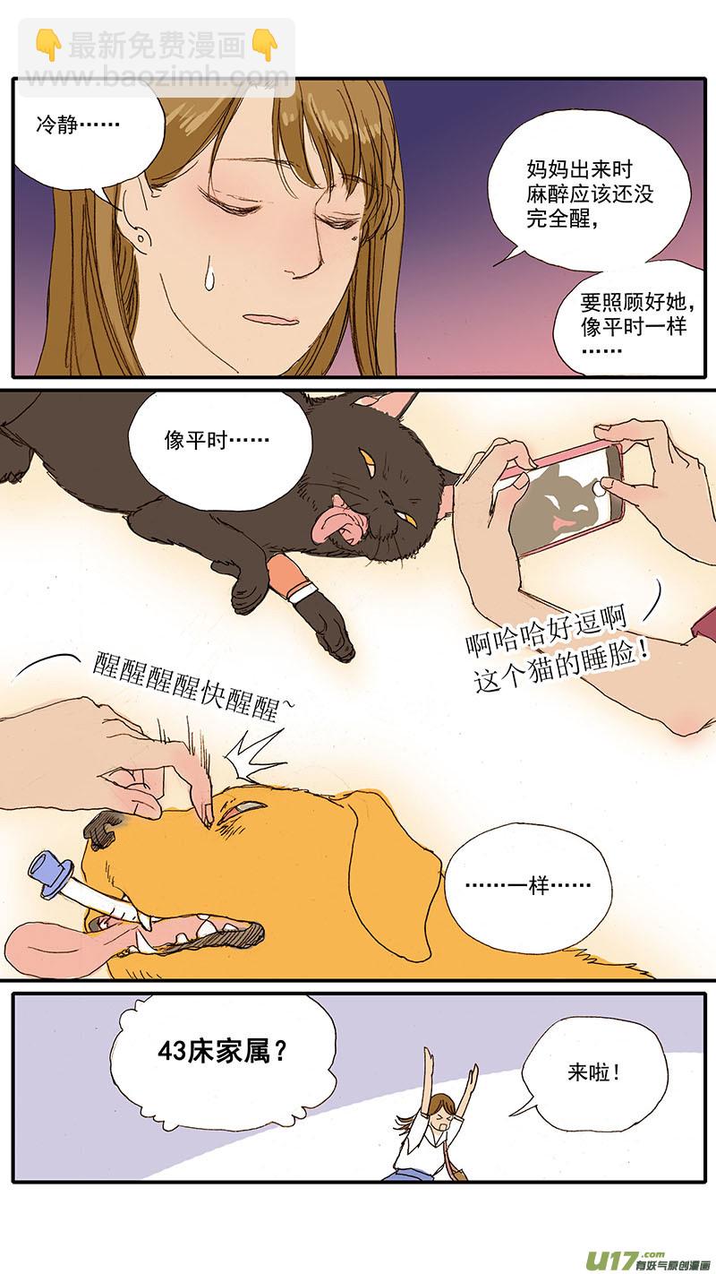 《百足宠物诊所》083 麻醉苏醒 第4页