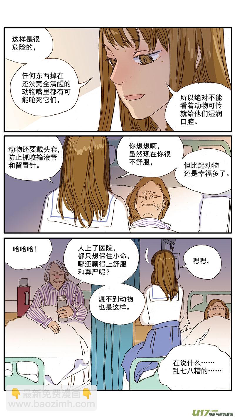 《百足宠物诊所》083 麻醉苏醒 第7页