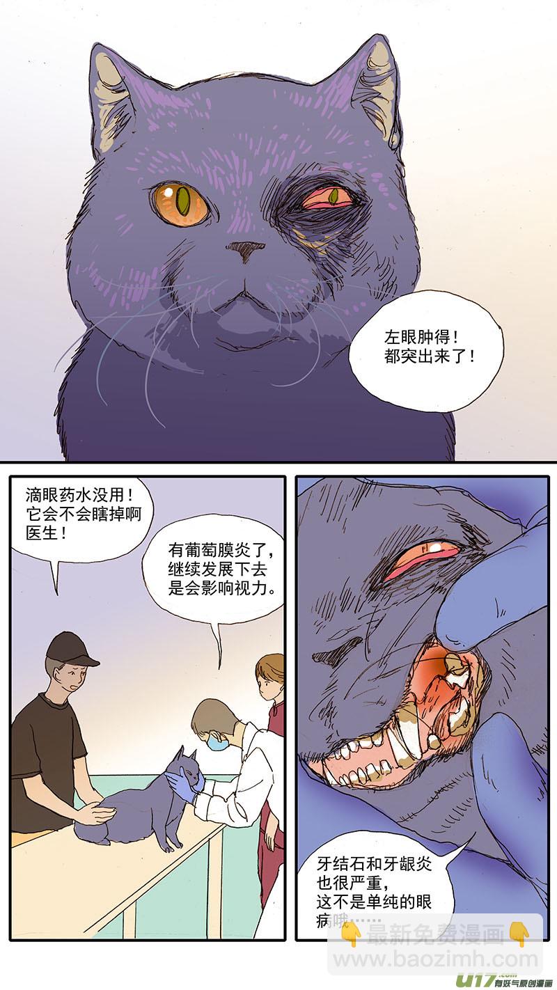 《百足宠物诊所》087 齿根脓肿 第5页