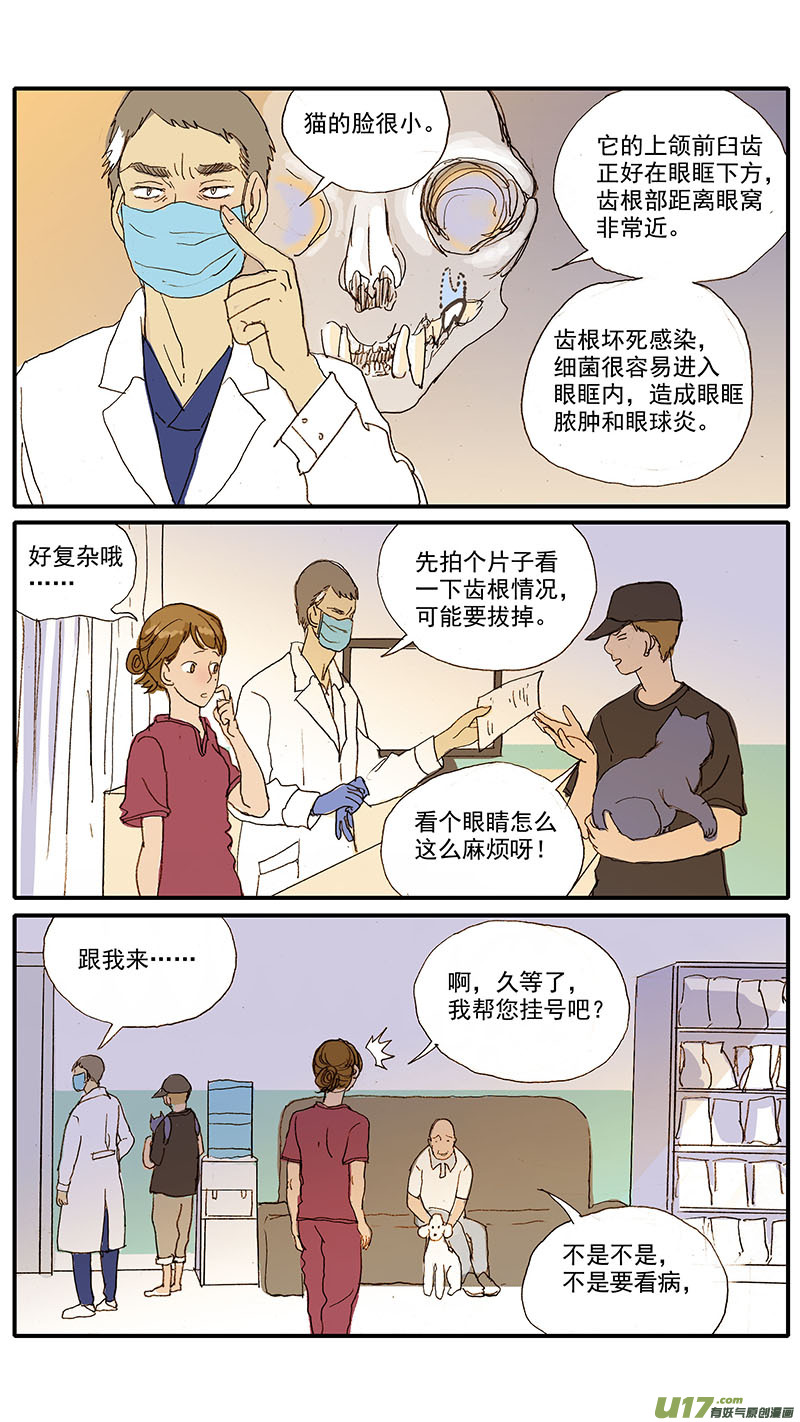 《百足宠物诊所》087 齿根脓肿 第6页