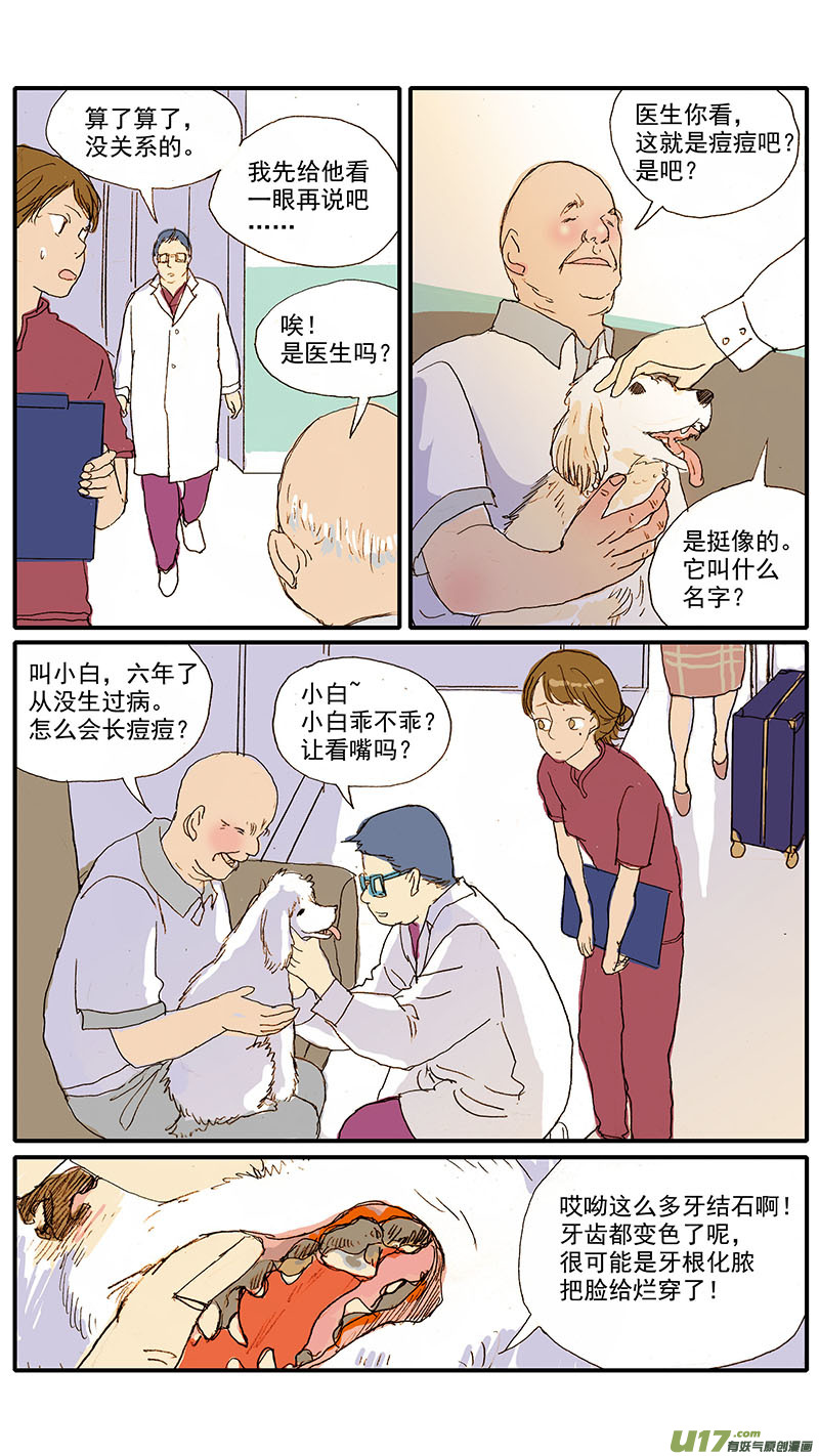 《百足宠物诊所》087 齿根脓肿 第8页